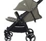 Прогулочная коляска для двойни Rant Biplane Trends