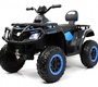 Детский электроквадроцикл Rivertoys T001TT 4WD