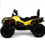 Детский электроквадроцикл Rivertoys BRP Can-Am Outlander (Y888YY)