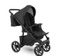 Детская коляска Sevillababy Alterro 2в1