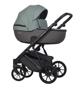 Коляска Riko Basic Montana Ecco 2 в 1