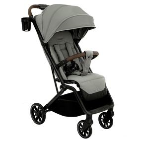 Прогулочная коляска PITUSO ICE