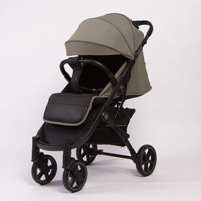 Прогулочная коляска Peppy Polo 2.0
