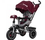 Велосипед трехколесный Baby Tilly CAYMAN T-381 с поворотным сидением и наклоном спинки