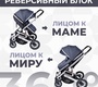 Коляска трансформер Sweet Baby Amare 2 в 1 