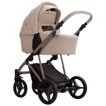 Детская коляска Bebetto PELPASSO PRO 2в1