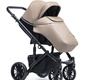 Коляска Delorean Active 3 в 1 