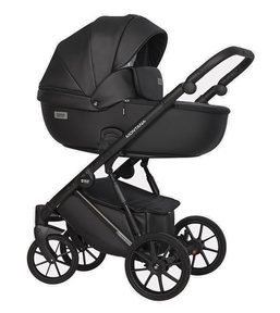 Коляска Riko Basic Montana Ecco 3 в 1