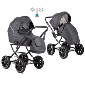 Коляска 2 в 1 NOORDI Fjordi Classic с термолюлькой