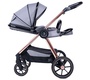 Коляска Zokky OZZ 2 в 1