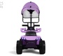 Детский электромобиль Rivertoys Z007VO-A