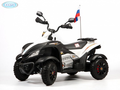 Квадроцикл BARTY CROSS M111MP (DMD-268А)