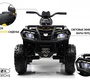 Детский электроквадроцикл Rivertoys T001TT 4WD