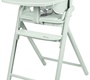 Стульчик для кормления Carrello Tenero CRL-9507 3в1