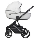 Детская коляска Riko Basic Montana Premium Silver 2 в 1