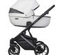 Детская коляска Riko Basic Montana Premium Silver 2 в 1