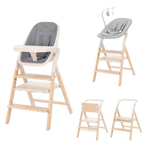 Стульчик для кормления Carrello Ergo 4в1 CRL-16701 