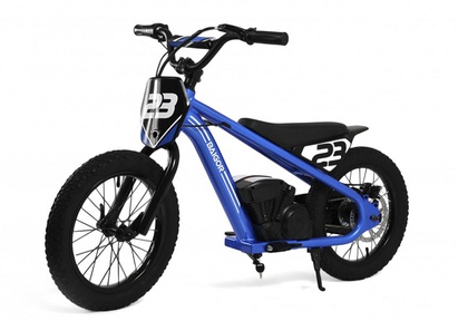 Детский электромотоцикл Rivertoys A001AA