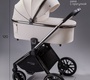 Детская коляска AmaroBaby Motus Premium Ecco 2в1
