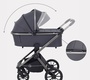 Детская коляска Rant Falcon 2 в 1