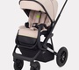 Коляска Rant AXIOM 2 в 1