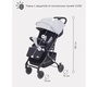 Коляска прогулочная Rant Iris