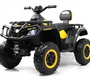 Детский электроквадроцикл Rivertoys T001TT 4WD
