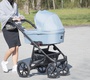 Коляска Coletto Astin 2 в 1