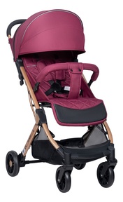 Прогулочная коляска Farfello Comfy Go