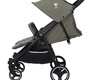 Прогулочная коляска для двойни Rant Biplane Trends