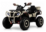 Детский электроквадроцикл Rivertoys Z111ZZ 