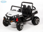 Детский двухместный электромобиль Barty Buggy (F007) (полный привод)
