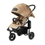 Коляска прогулочная Airbuggy Coco Standart 