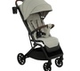Прогулочная коляска PITUSO ICE