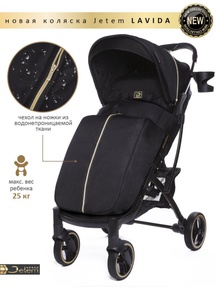 Коляска прогулочная Jetem Lavida New 