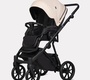 Детская коляска Riko Basic Montana X Ecco 2в1