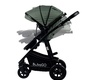 Коляска Bubago Voyage 2 в 1 2023