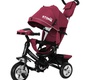 Велосипед трехколесный Baby Tilly Storm T-349/2