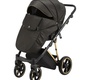 Детская коляска BeBe-Mobile Castello Sport Special Edition 3 в 1