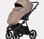 Детская коляска Riko Basic Montana X Ecco 2в1