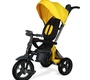 Трёхколёсный велосипед Nuovita Bamzione BE1