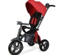 Трёхколёсный велосипед Nuovita Bamzione BE1