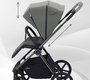 Коляска детская RANT TEO Black Chrome 2в1 RA122