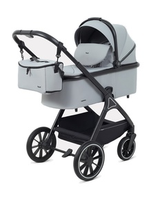 Детская коляска Rant Basic Terra 2в1 