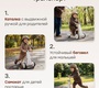 Беговел-трансформер Happy Baby PINGI