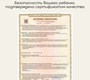 Коляска трансформер Izzi 2в1 