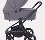 Детская коляска Rant Flex 2025 2в1 RA076