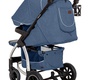 Коляска Carrello Vista Air 2 в 1