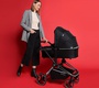 Коляска Labala Raiz 2 в 1