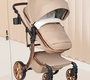 Детская коляска трансформер Aimile Original Autumn 2в1